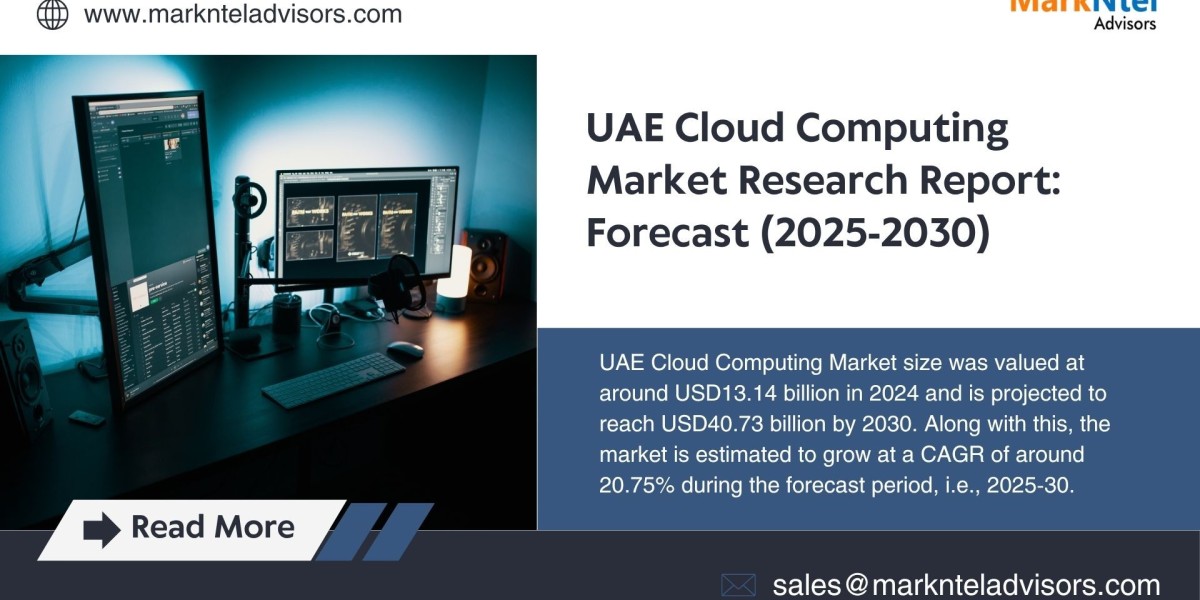 UAE Cloud Computing Market Insights, Volume and Strategic Report 2030