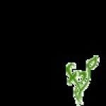 FNP Venues Profile Picture