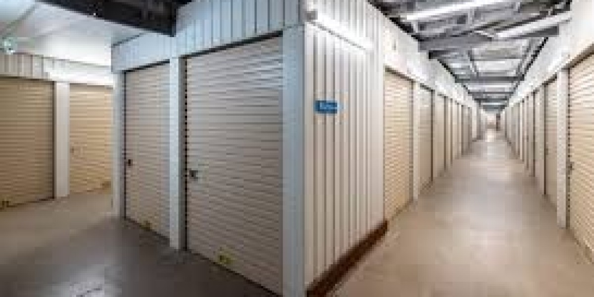 Affordable Shed for Tool Brisbane: Your Guide to Choosing Storage Solution