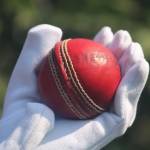 T20 live Profile Picture