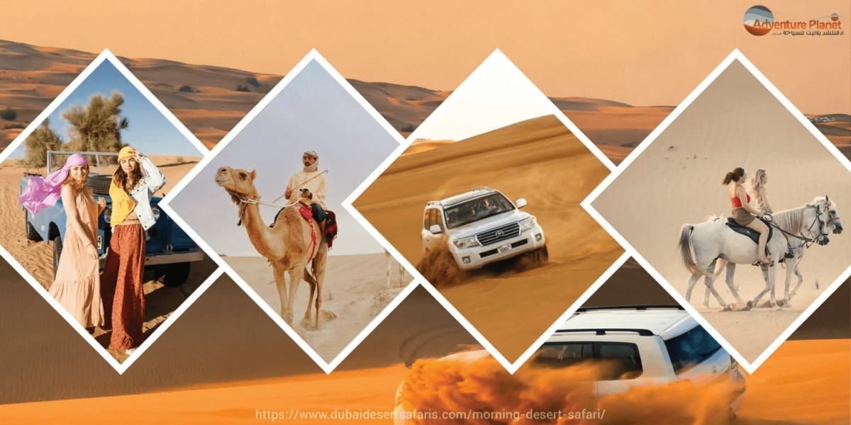 10 Amazing Reasons to Love Morning Desert Safari