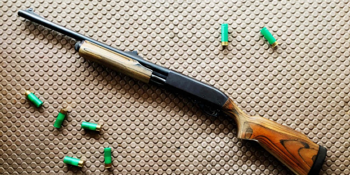 Pellet Gun Bullets and Vector Optics: A Complete Guide for Shooting Enthusiasts