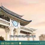 blueworldcity Profile Picture