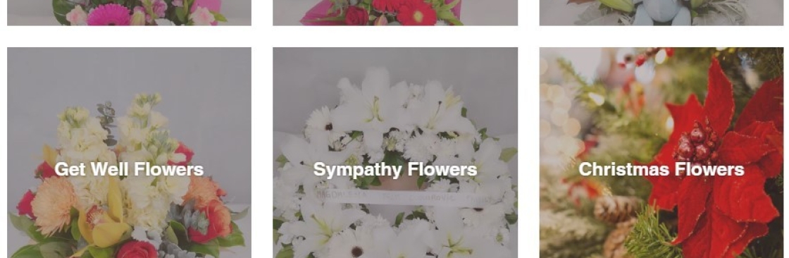 blossomof wyndham Cover Image